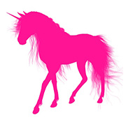 Pink Unicorn Radio