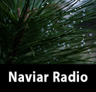 Naviar Radio