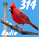 314 Bird Radio