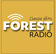 Classic Hits Forest Radio