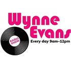 The Wynne Evans Show