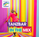 Radio Regenbogen - Tanzbar in the Mix