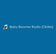 Baby Boomer Radio (Oldies)
